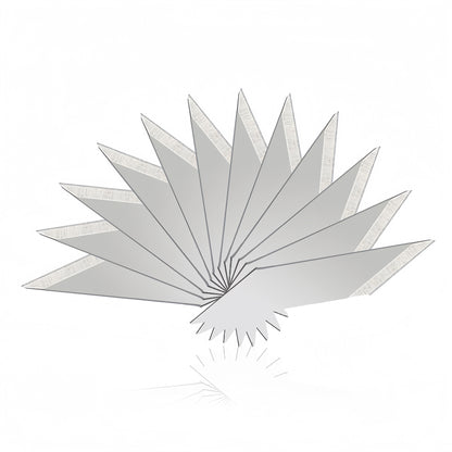 24pcs Set Ceramic Blade for C1